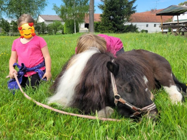 pony.jpg